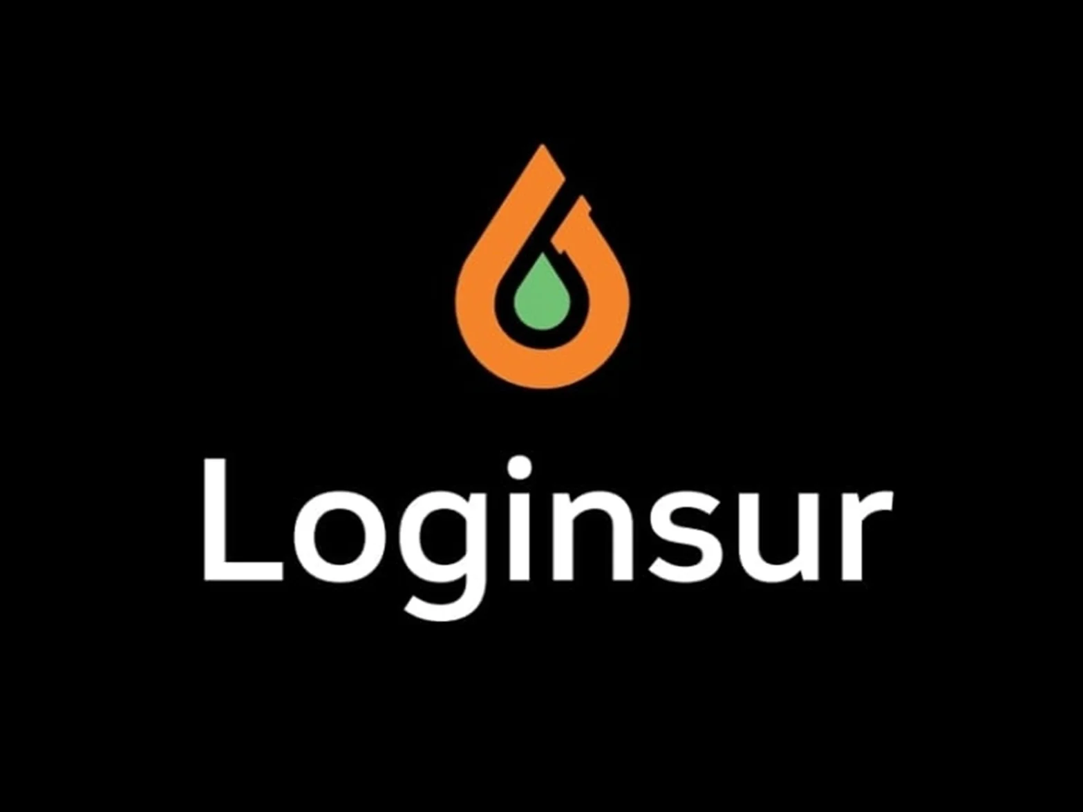 Portada de LOGINSUR, imagen 1